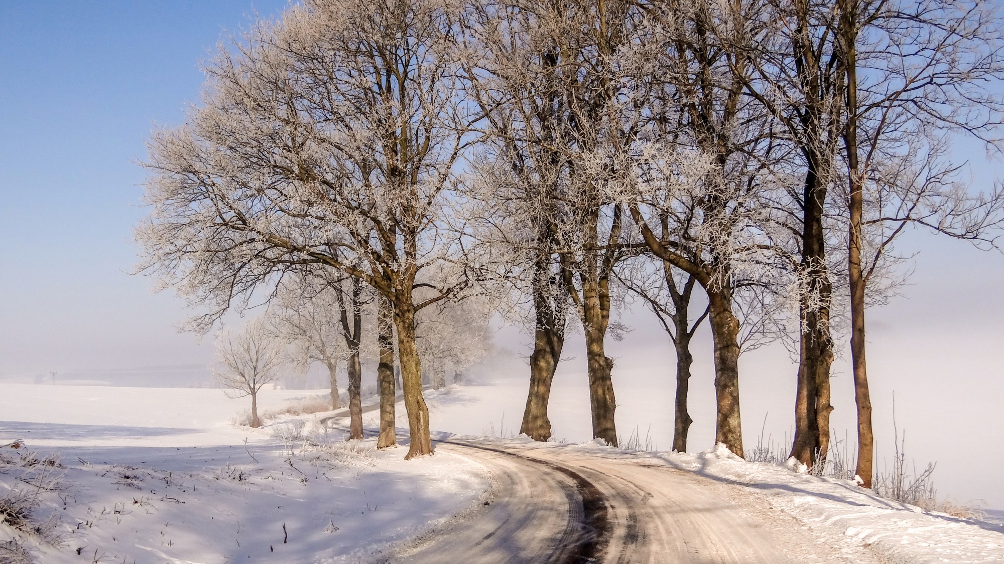 Drogą do raju - zdjęcie 6