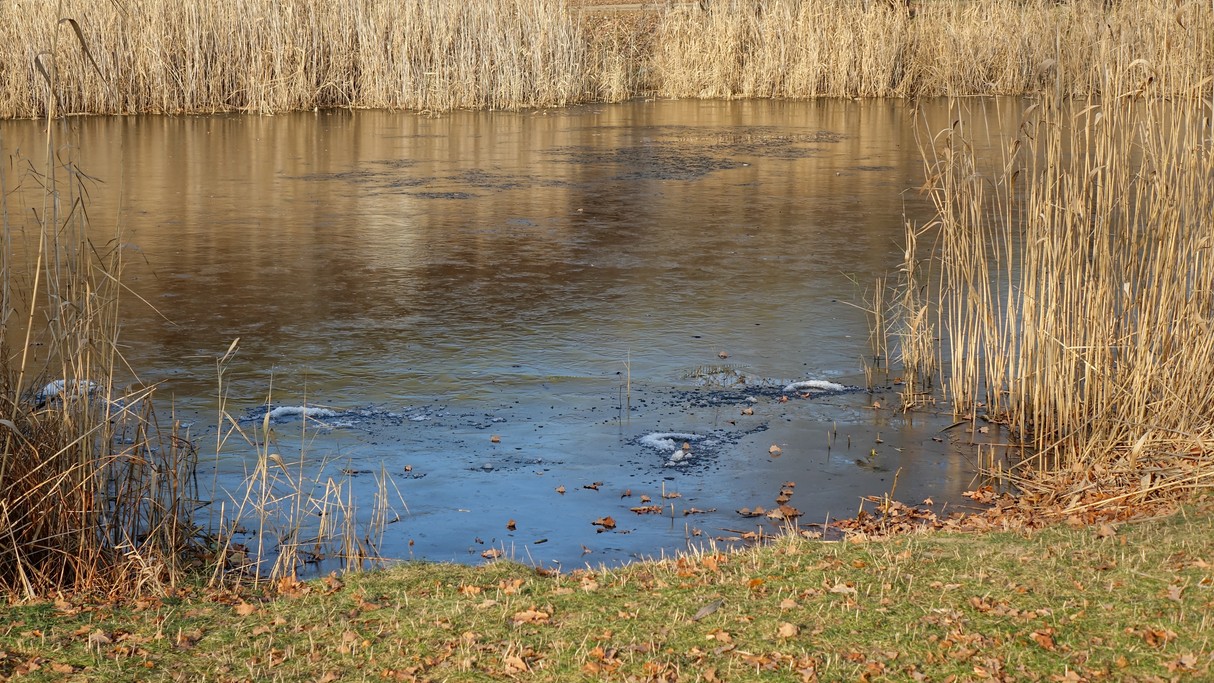 Styczeń w obiektywie - zdjęcie 38