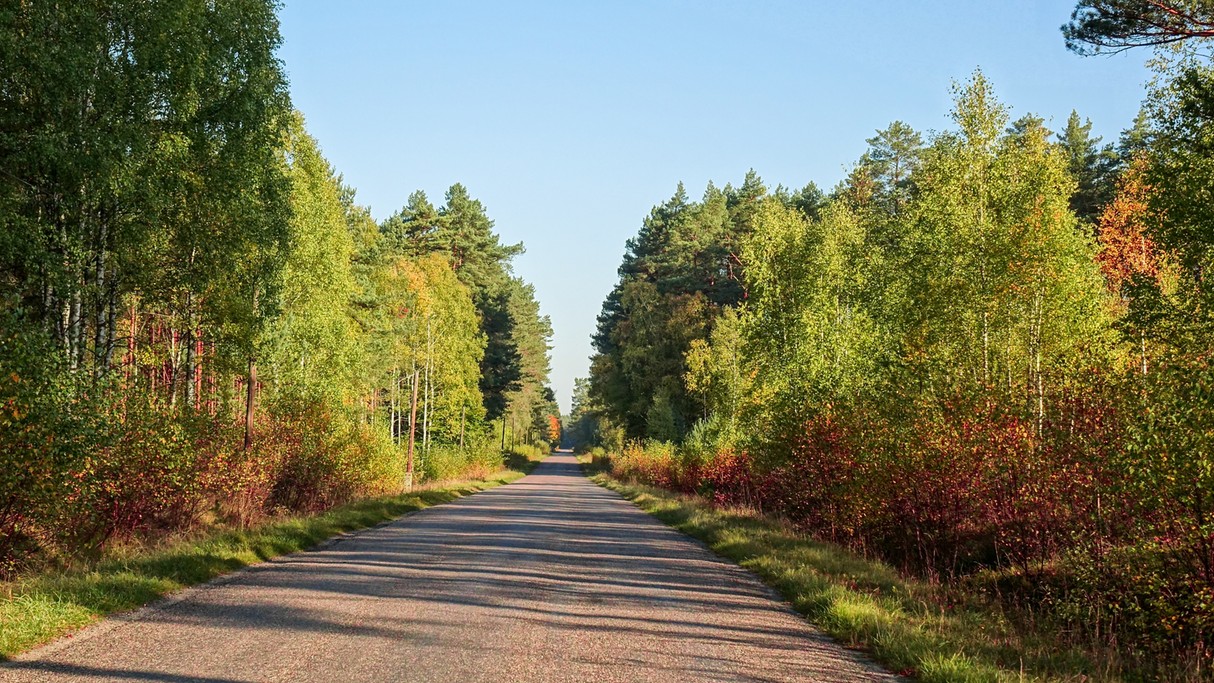 Jesienne krajobrazy za miastem - zdjęcie 71