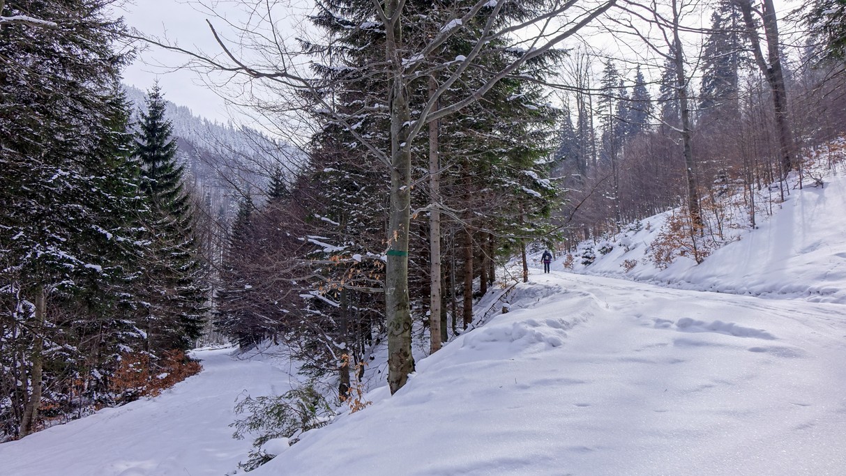 Zima w górach - zdjęcie 29