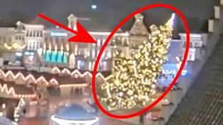 24.12.2023 05:56 Przewrócona przez wichurę olbrzymia choinka zabiła kobietę. Tragiczny bilans skrajnej aury