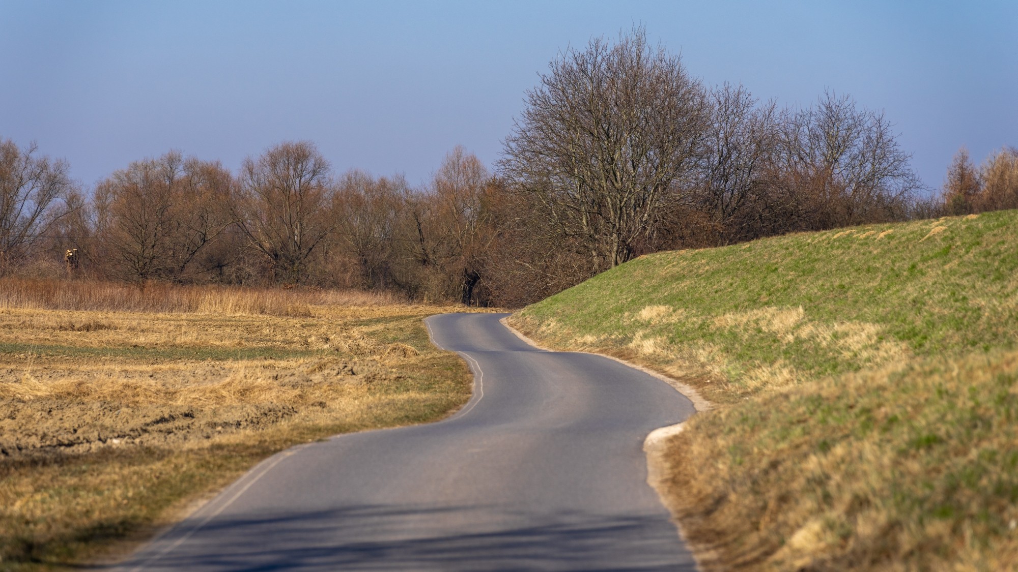 Miejska przyroda - zdjęcie 48