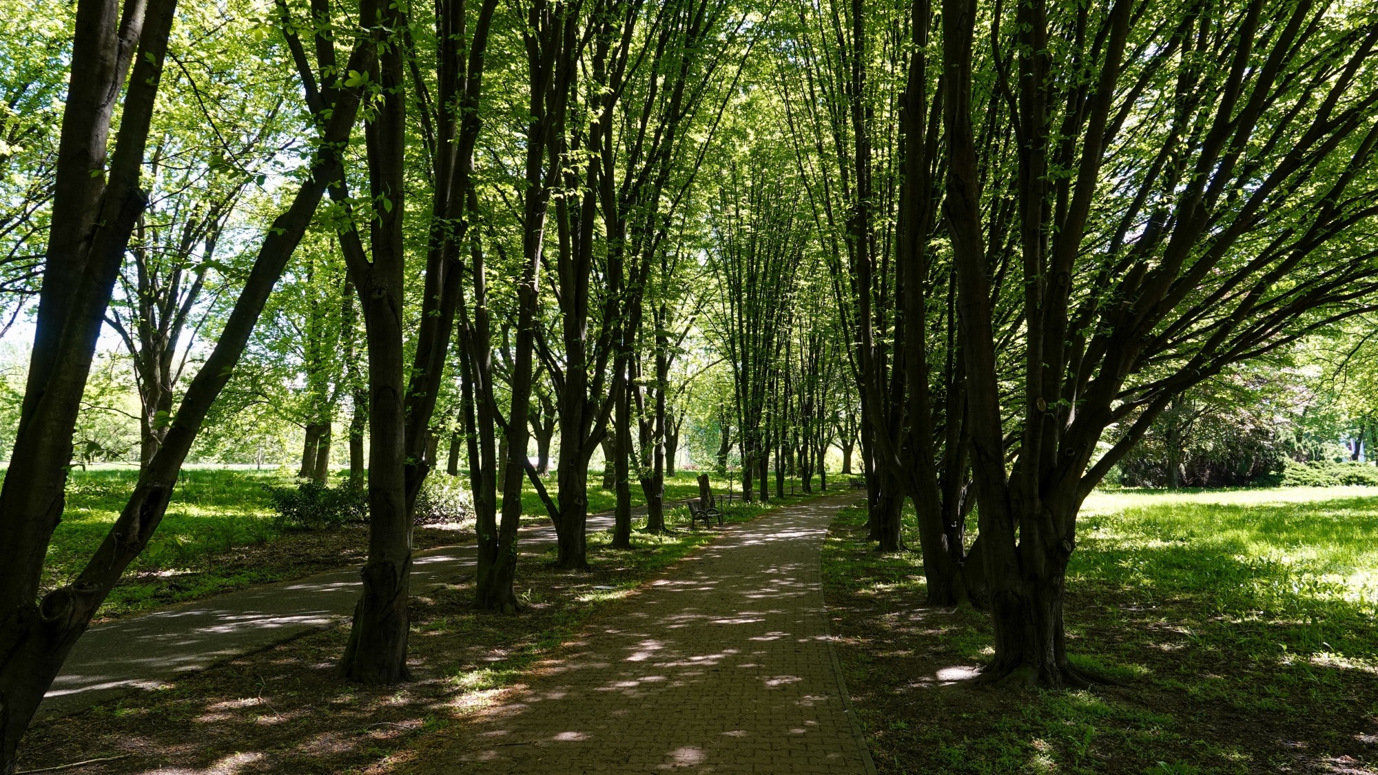 W maju jak w raju - zdjęcie 58