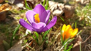 30.03.2021 00:00 Wiosenna pobudka (4K)