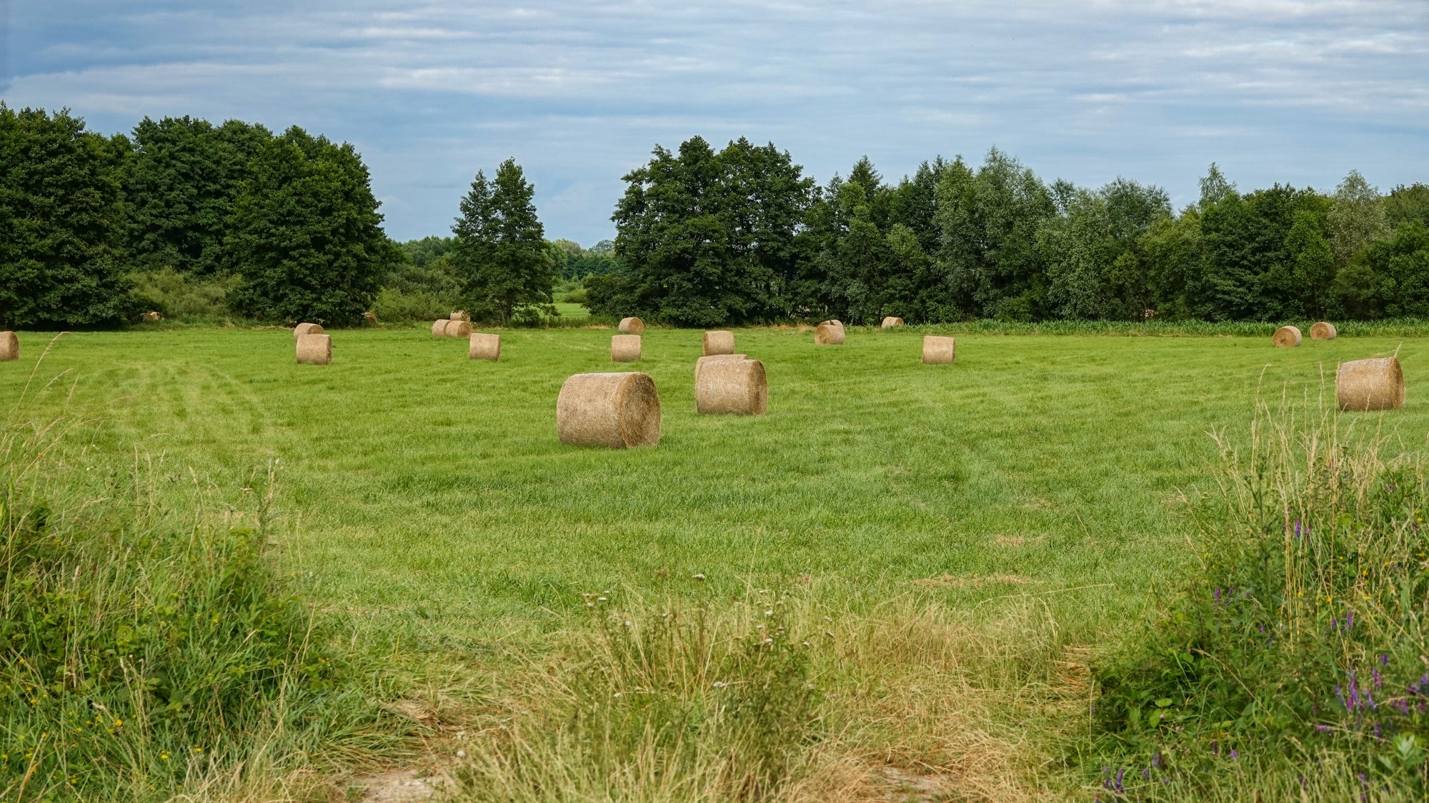Środek lata w plenerze - zdjęcie 31
