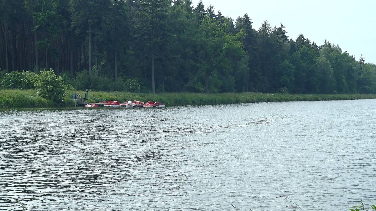Elektryczny pastuch rozciągnięty wokół stawu. Doszło do dramatu