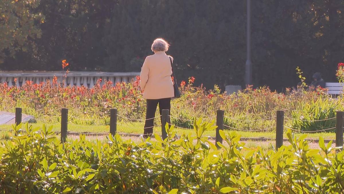 Nie każdy senior o tym wie. Zaskakujące przywileje po 60-tce, które pomogą dopiąć budżet