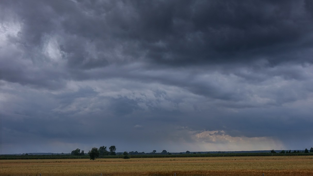 Czerwiec w obiektywie - zdjęcie 33