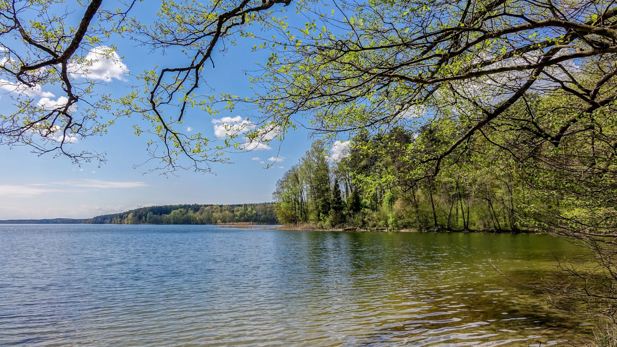 Mazury wiosną - zdjęcie 15