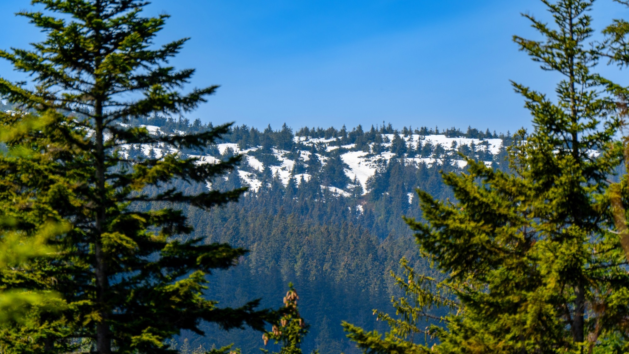 Zachwycający maj - zdjęcie 26