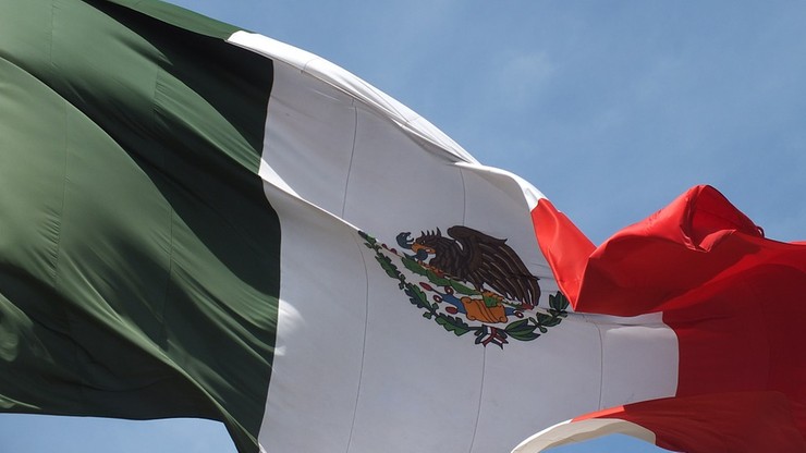 "Wielkie wąsy", "Cebula" oraz "Smok" kandydatami w wyborach w Meksyku