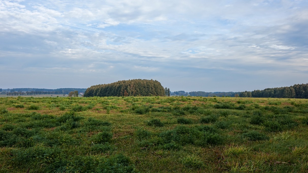 Podróż przez jesienną Polskę - zdjęcie 19