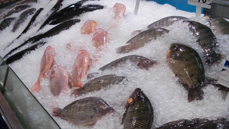 Śledztwo ws. sprzedaży nieodpowiedniej jakości produktów rybnych