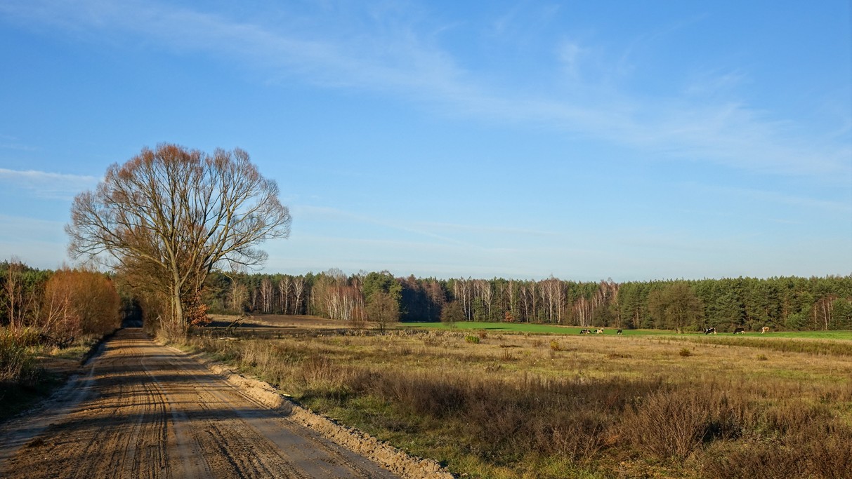 Listopad w obiektywie - zdjęcie 36