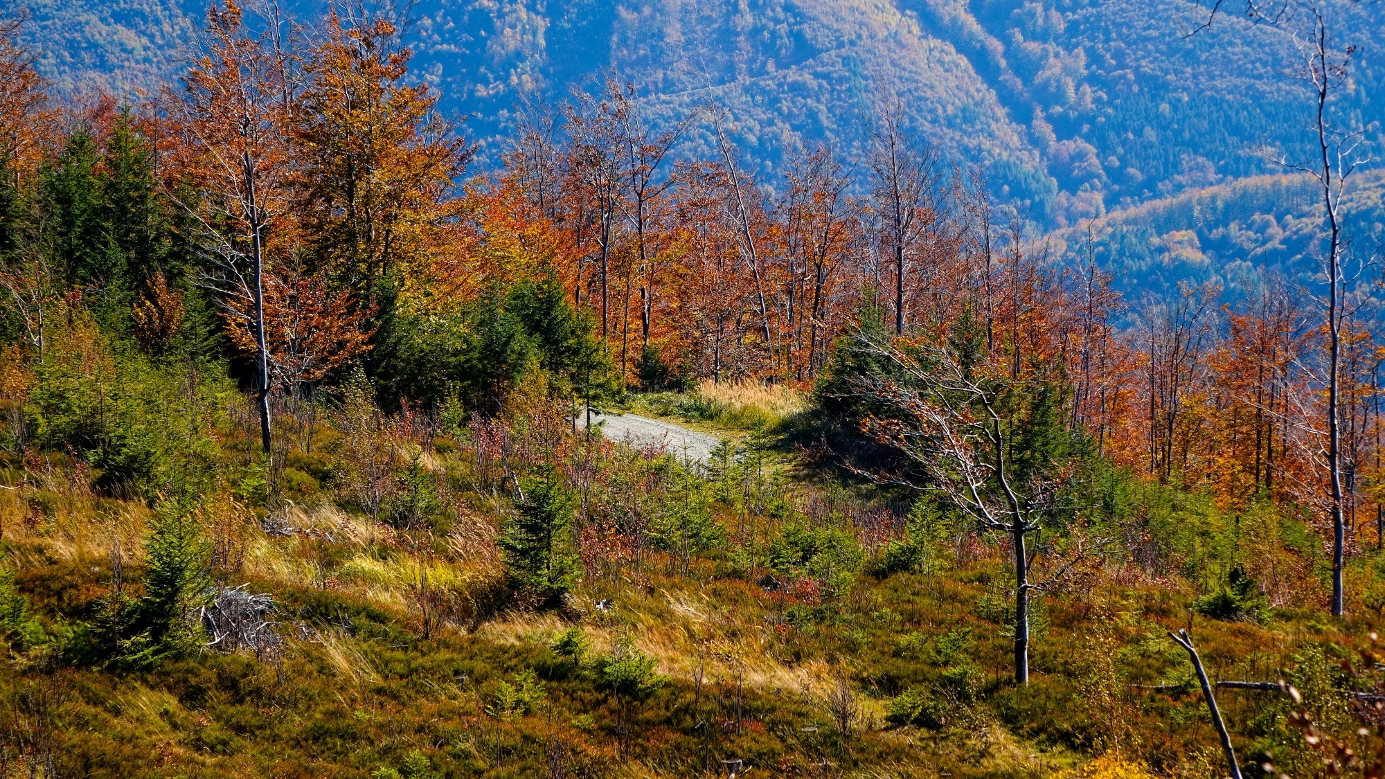 Kraina jesieni - zdjęcie 35