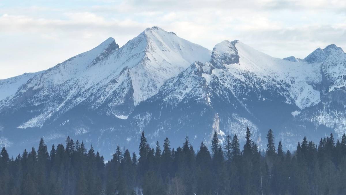 Zimowy krajobraz g&oacute;rski z ośnieżonymi szczytami i lasem iglastym na pierwszym planie.