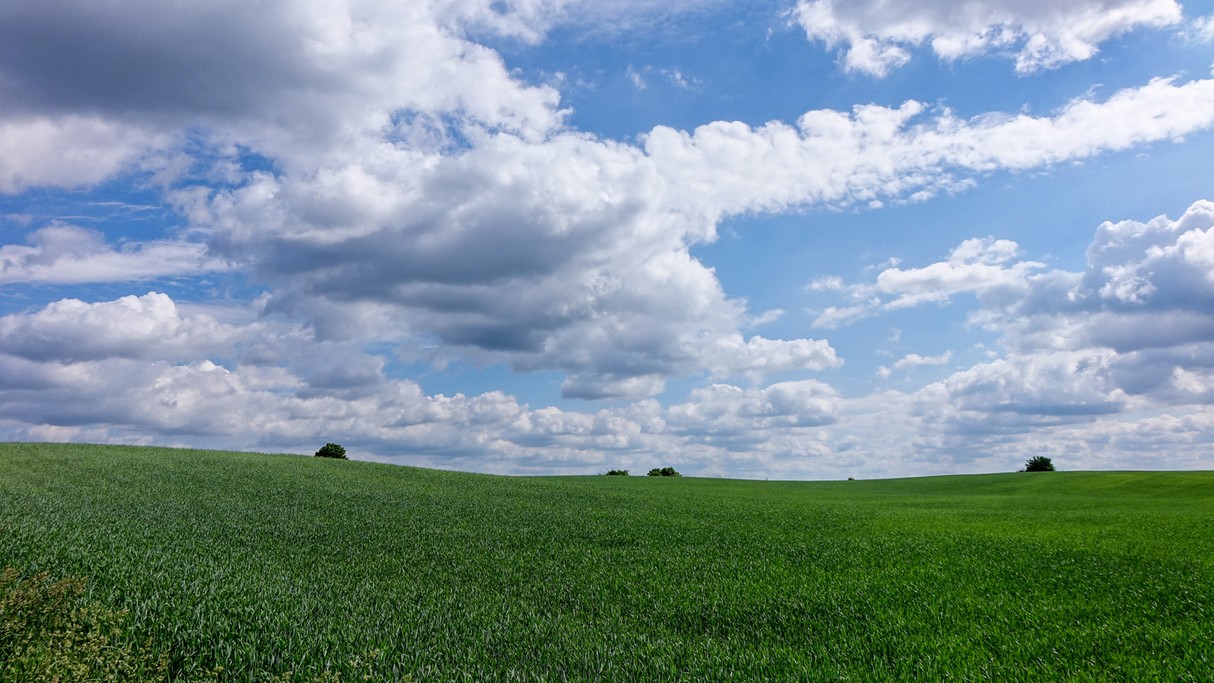 Czerwiec w obiektywie - zdjęcie 6