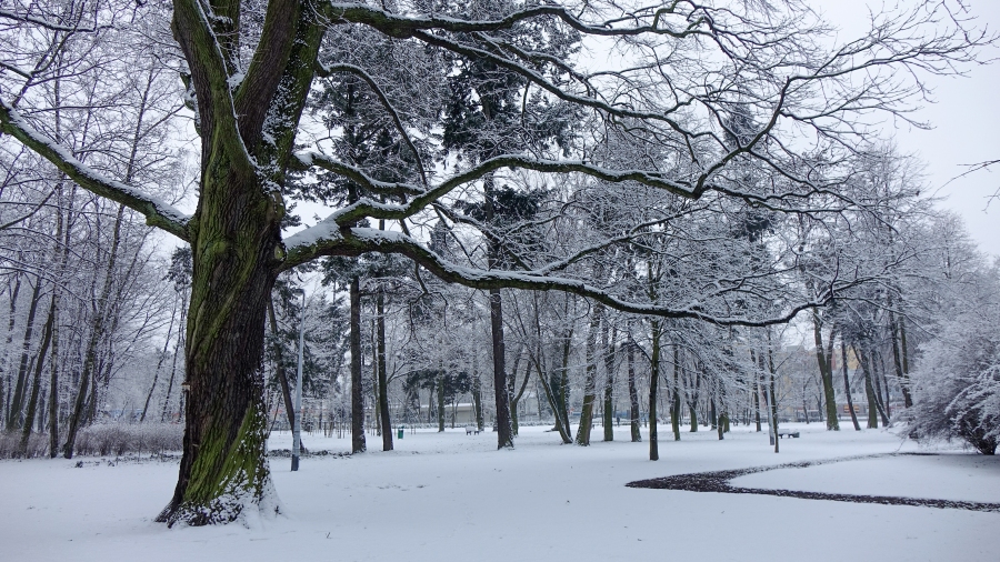 15.12.2018 07:00 Tuż przed ociepleniem spadnie nawet 5-10 cm śniegu. W których regionach mocno przyprószy?