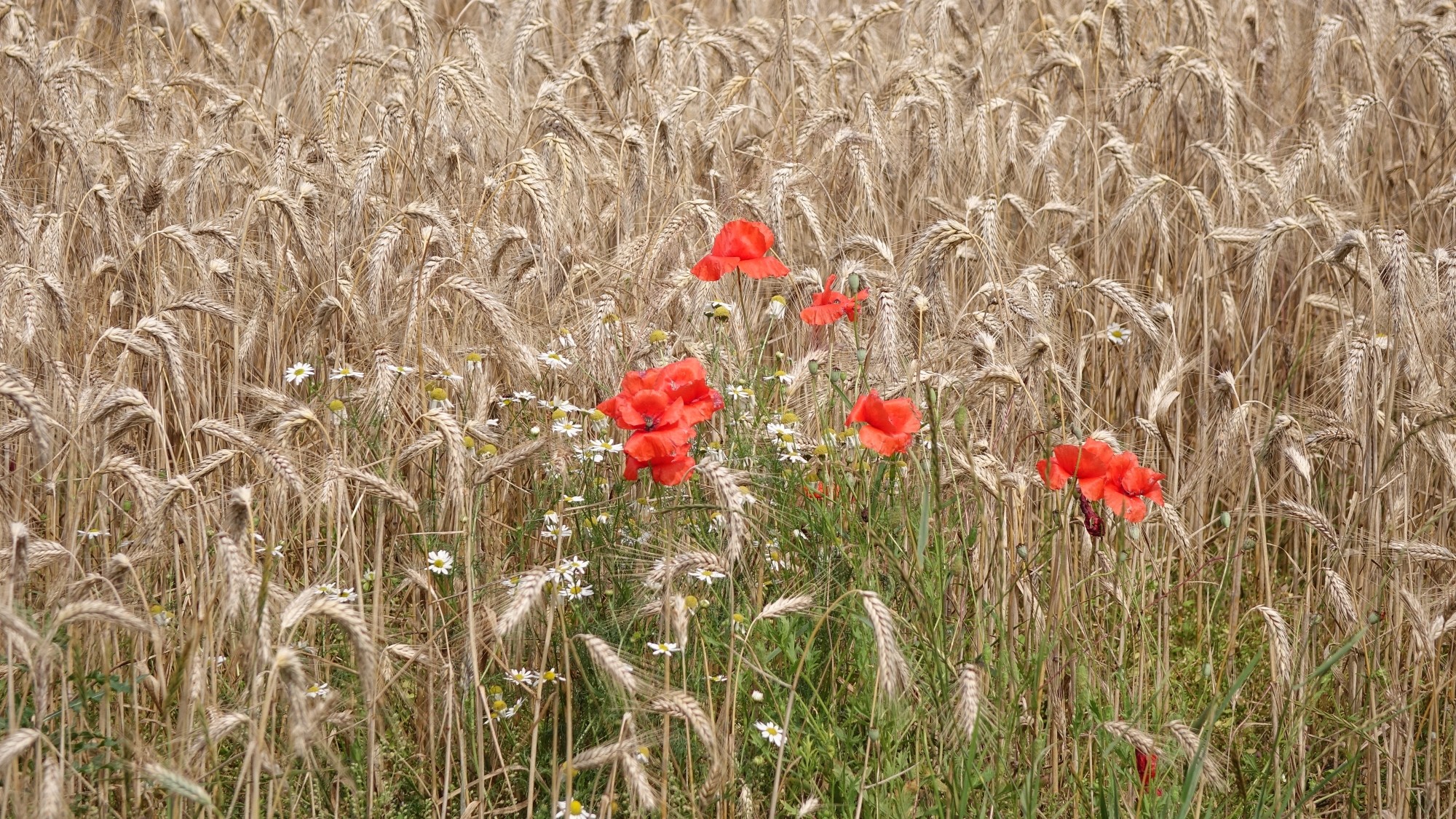 Wakacje minionych lat - zdjęcie 40