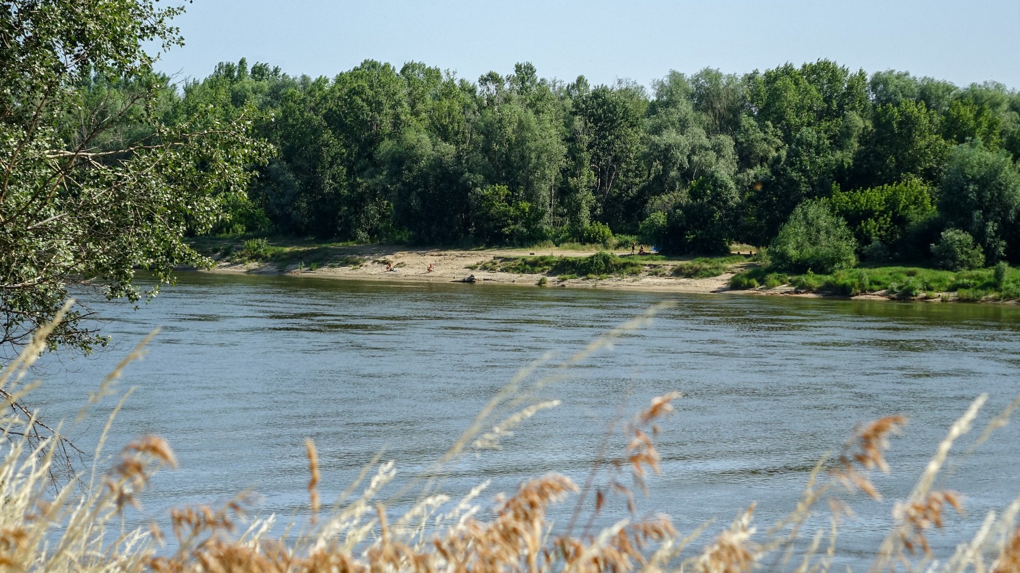 Czerwiec w obiektywie - zdjęcie 4