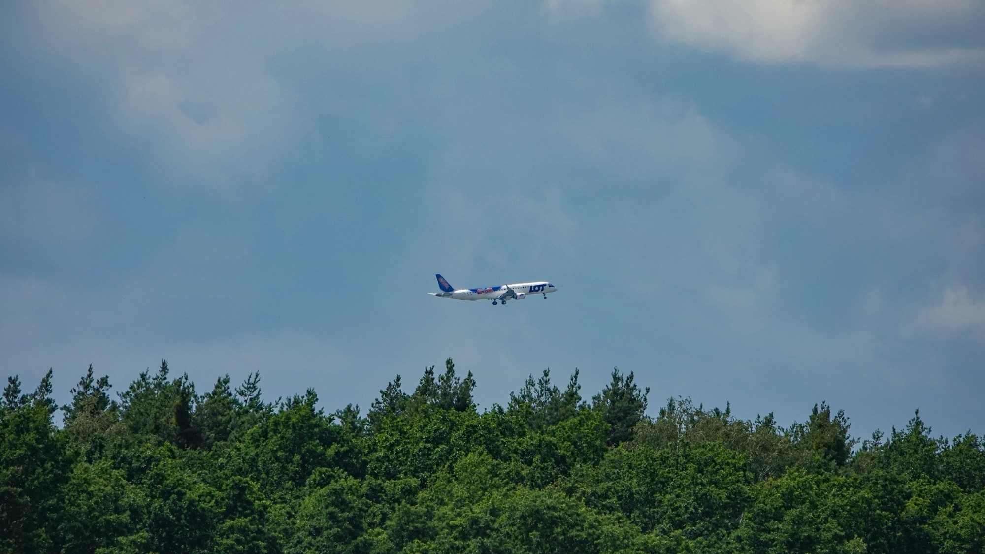 Letnie klimaty na łonie natury - zdjęcie 49