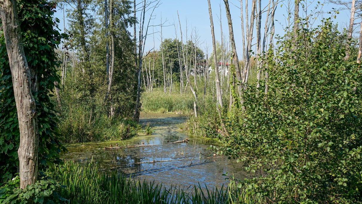 Wrzesień w obiektywie - zdjęcie 37