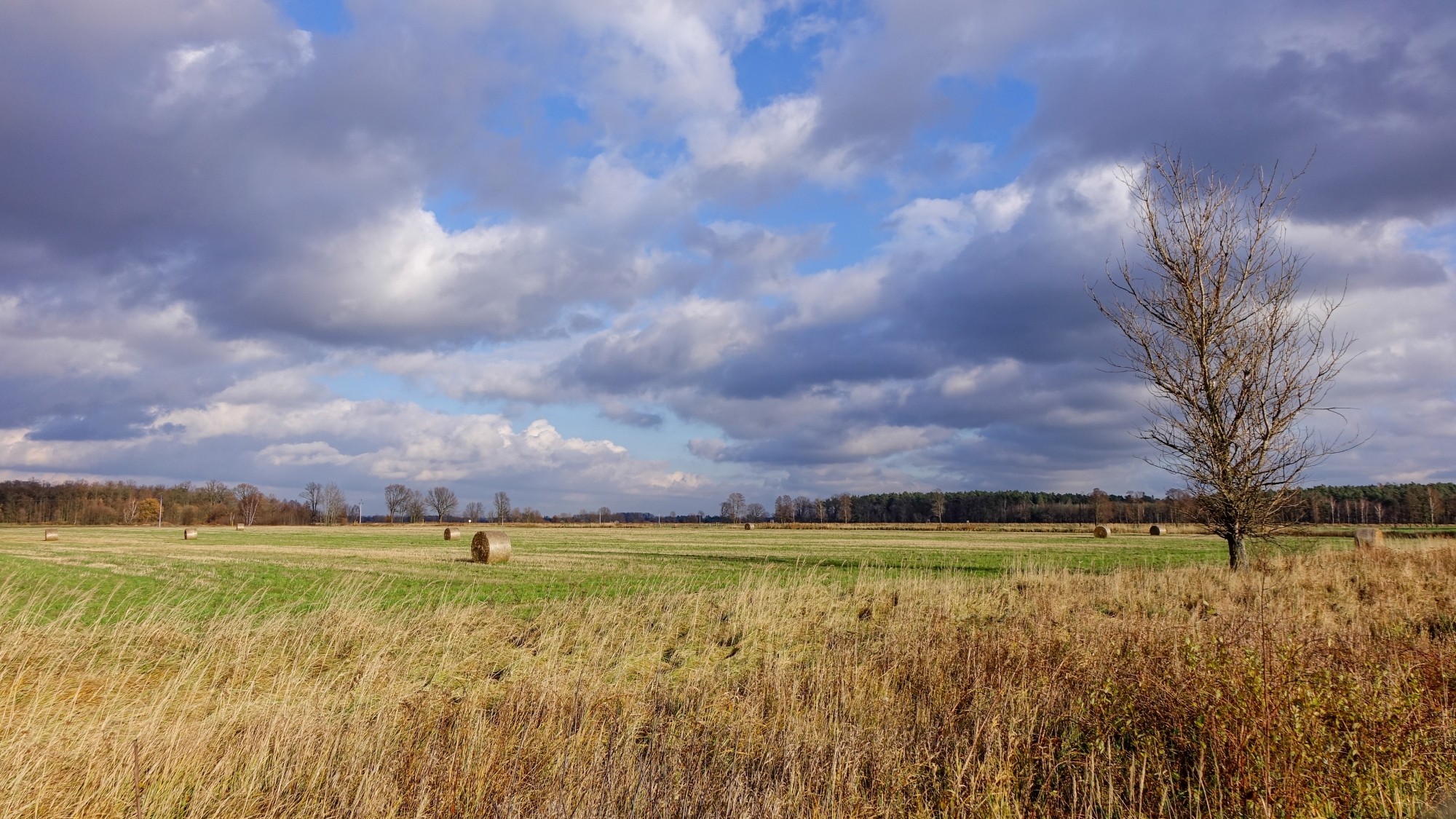 Odkryj piękno Polski w wakacje - zdjęcie 96