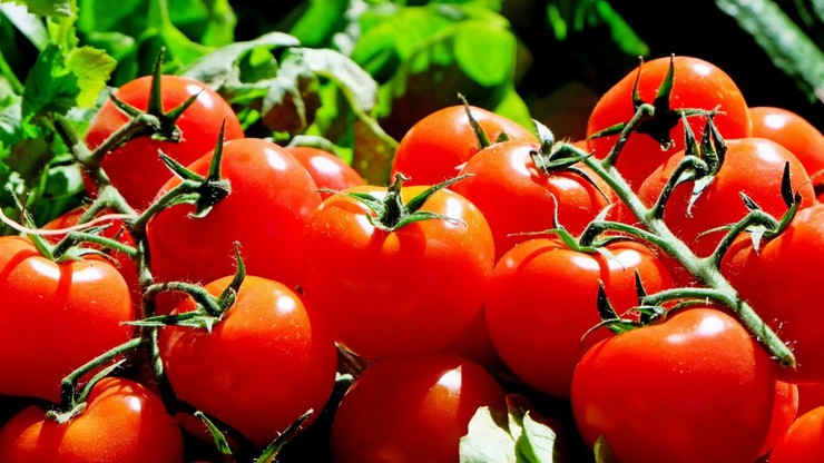 Krojone pomidory w puszkach z kawałkami plastiku mogą zranić w usta. Lidl przyjmie je bez paragonu