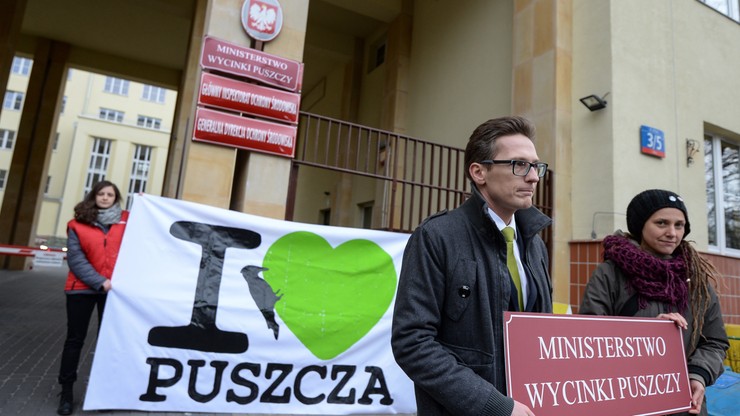 Minister zwiększa wycinkę drzew w Puszczy Białowieskiej. "To wyrok na puszczę" - alarmują organizacje