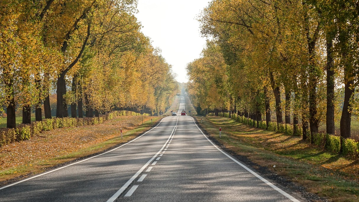 Podróż przez jesienną Polskę - zdjęcie 27