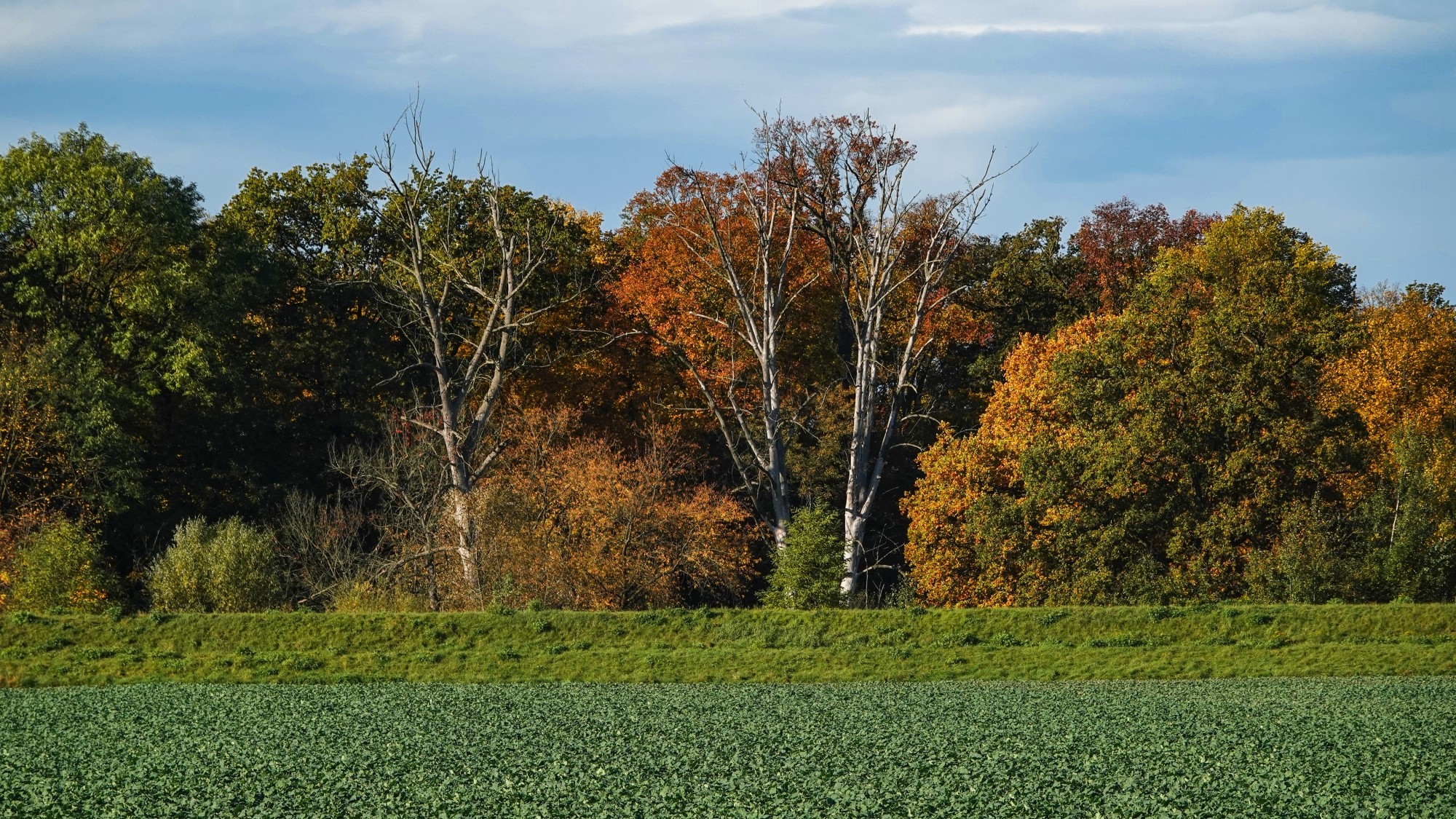 Wszystkie barwy jesieni - zdjęcie 33