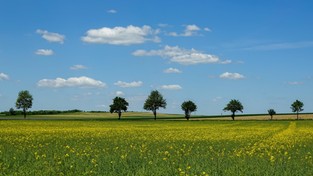 14.06.2020 10:00 Jesteście zakochani w polskich krajobrazach? Zobaczcie uroki zielonej pory roku [ZDJĘCIA]