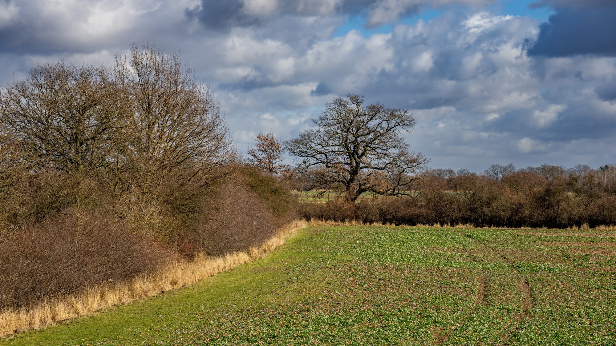 Wiosna coraz bliżej - zdjęcie 11