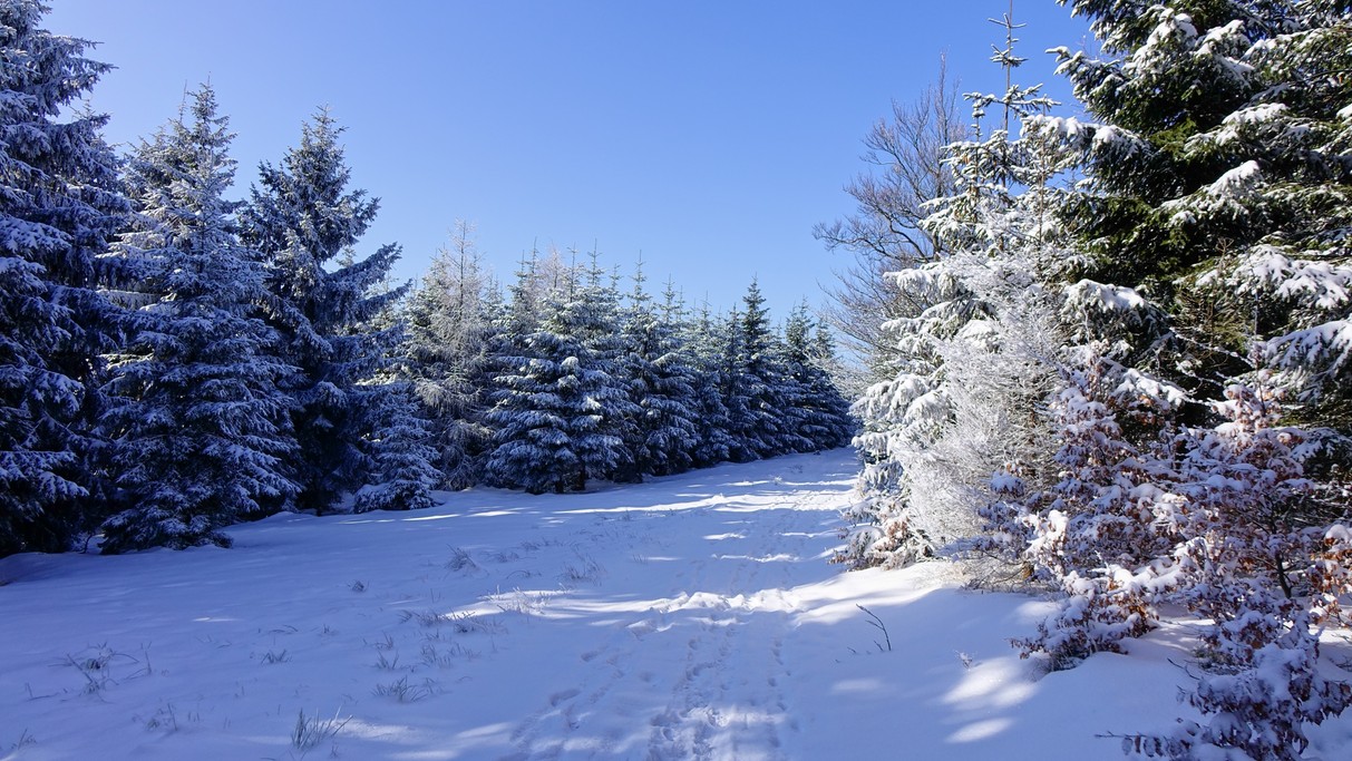 Zima w górach - zdjęcie 25