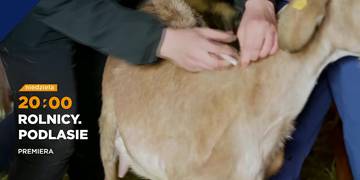 Rolnicy. Podlasie