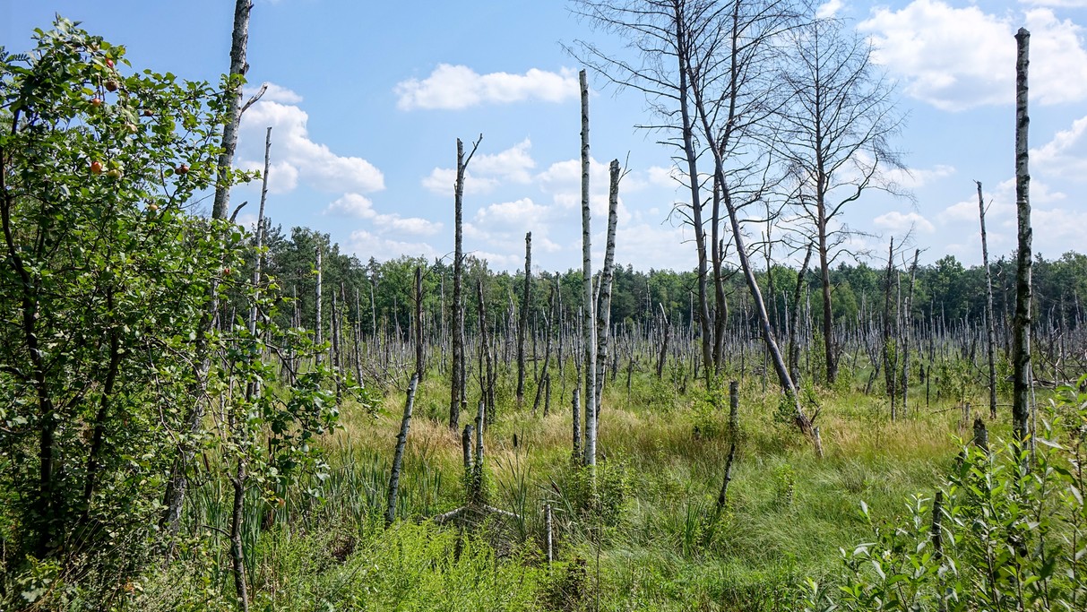 Lipiec w obiektywie - zdjęcie 44