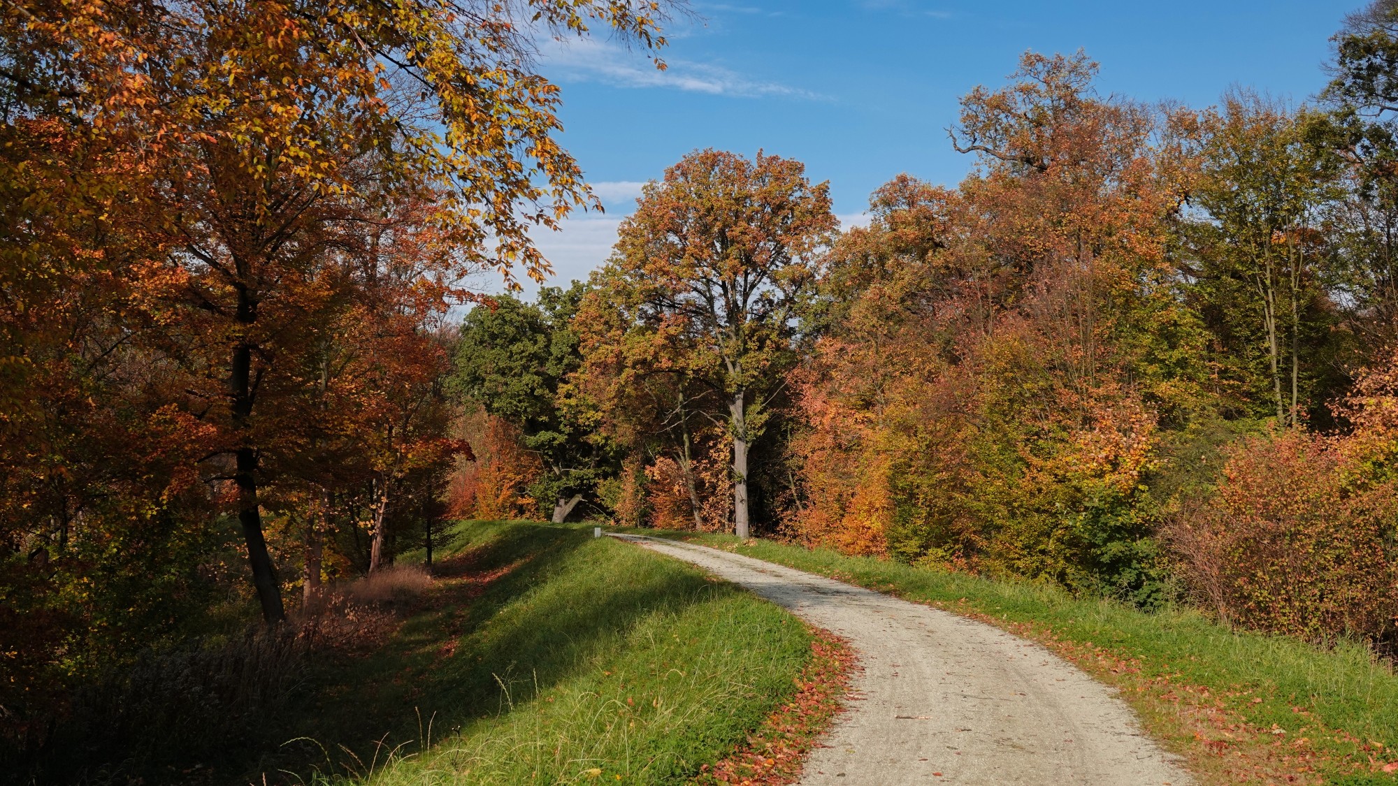 Jesienne klimaty - zdjęcie 13