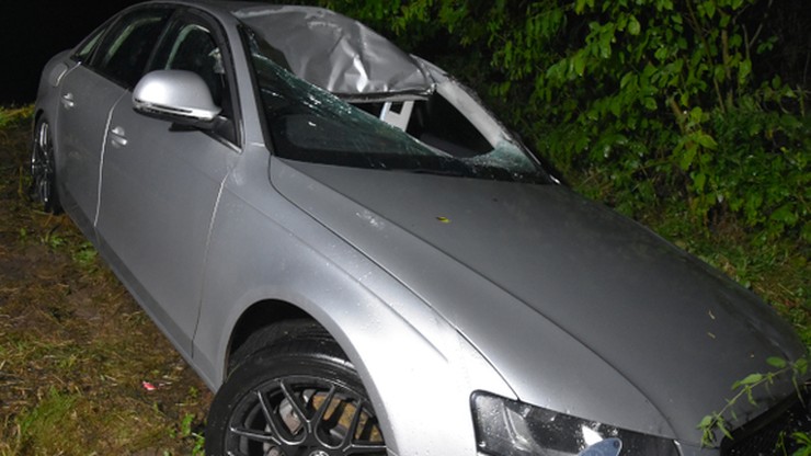 Srebrna: Łoś wybiegł przed pędzące auto. 40-latek trafił do szpitala
