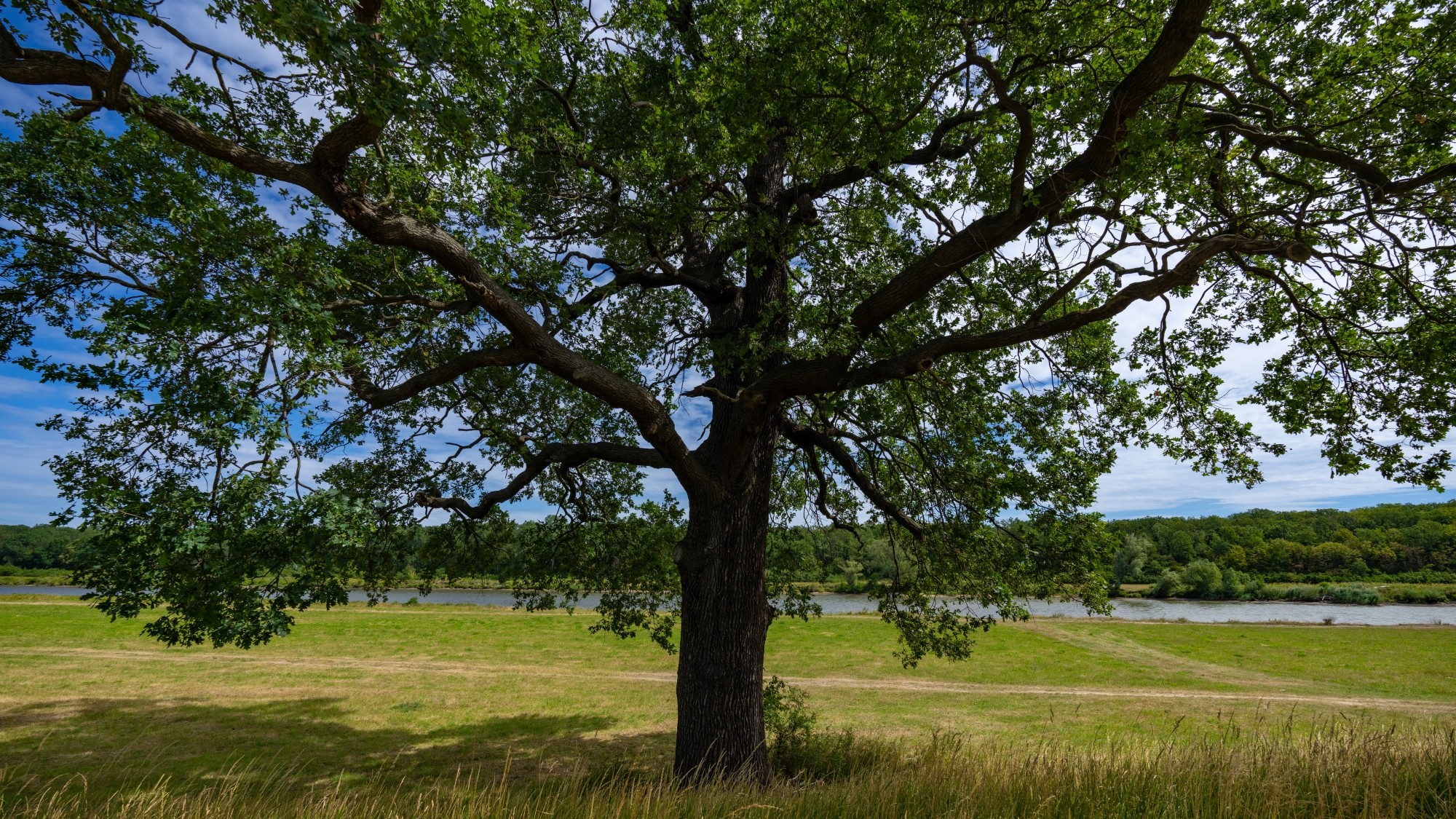 Kolory lata - zdjęcie 72