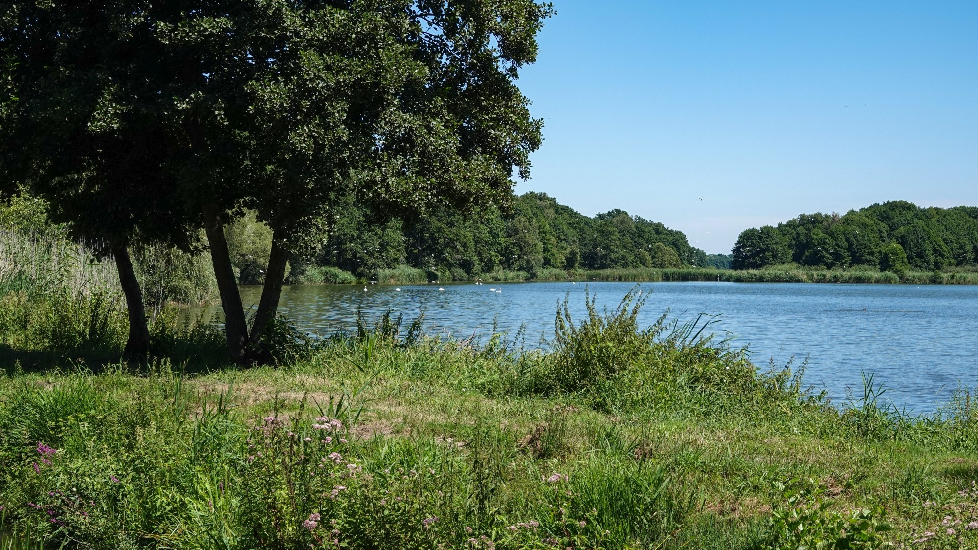 Na pożegnanie lata - zdjęcie 45