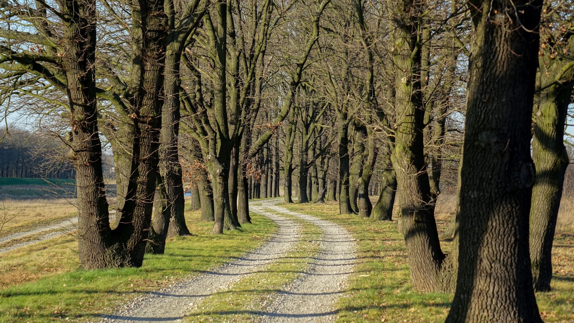Najcieplejsza zima w historii - zdjęcie 9