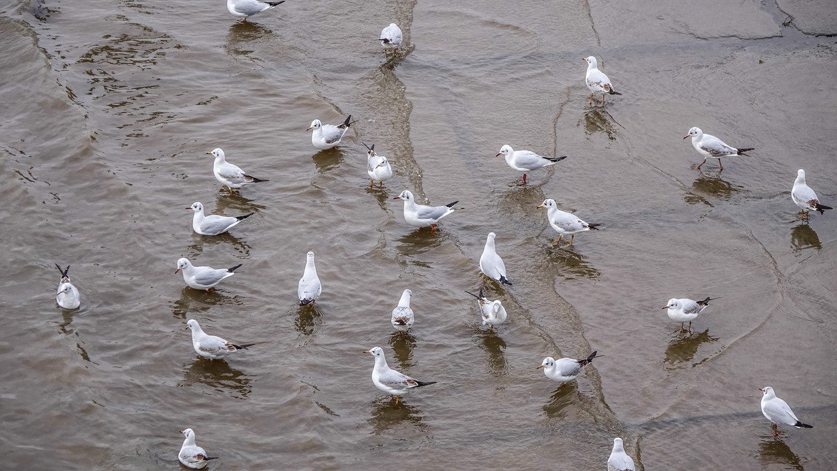 Styczeń w obiektywie - zdjęcie 17