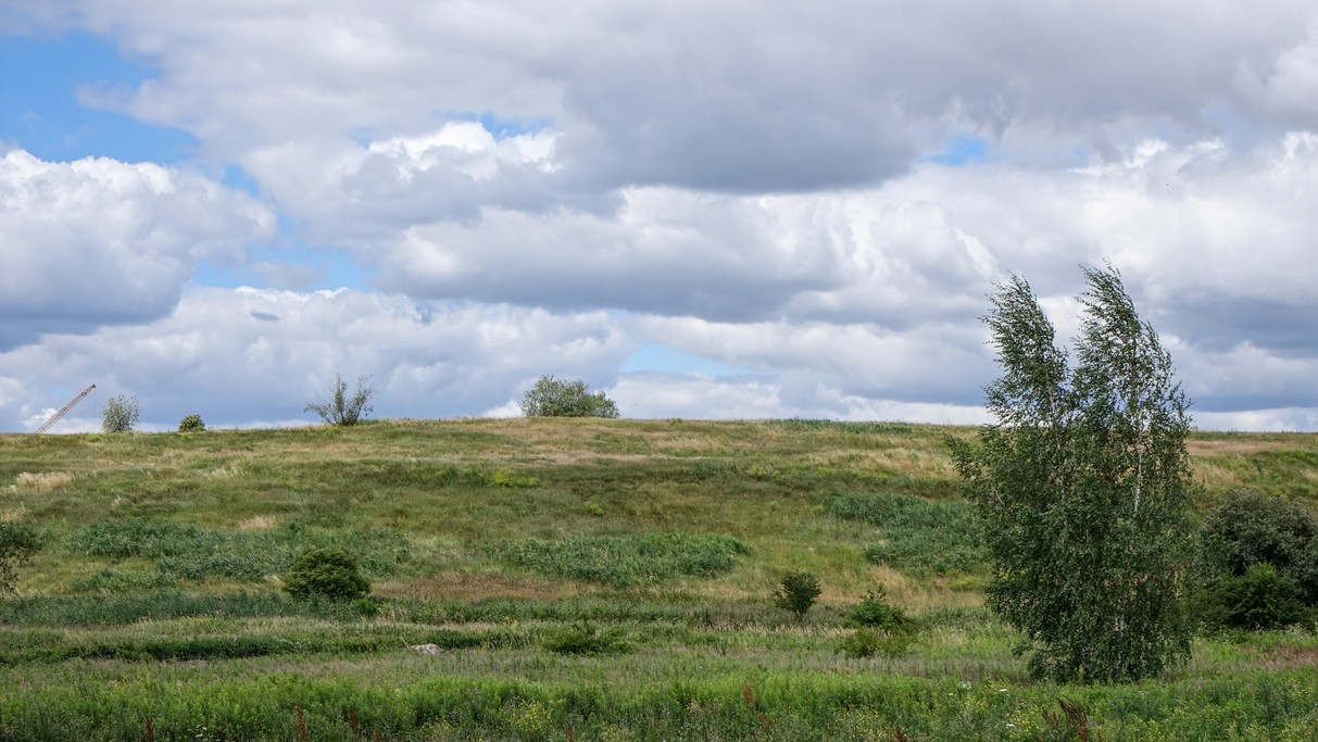 Czerwiec w obiektywie - zdjęcie 32