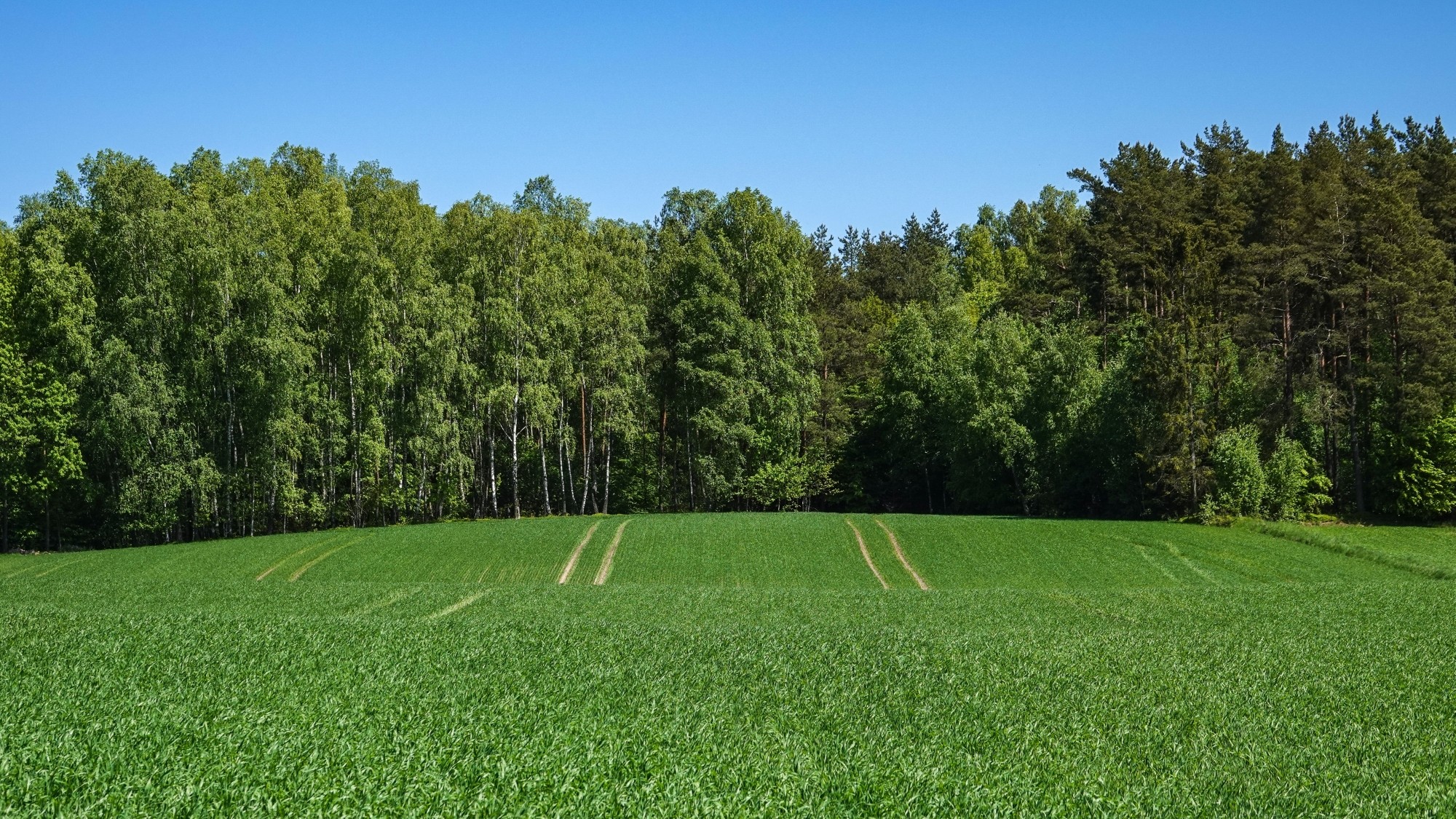 Lato w plenerze - zdjęcie 46