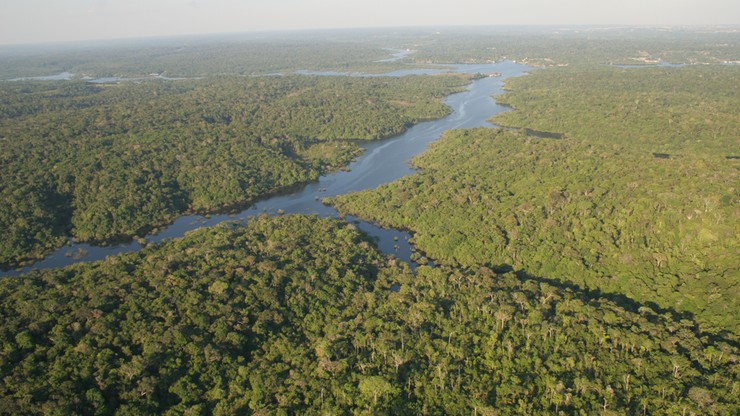 Brazylia: Amazonia znika w oczach. Wylesiony obszar pięć razy większy od Nowego Jorku
