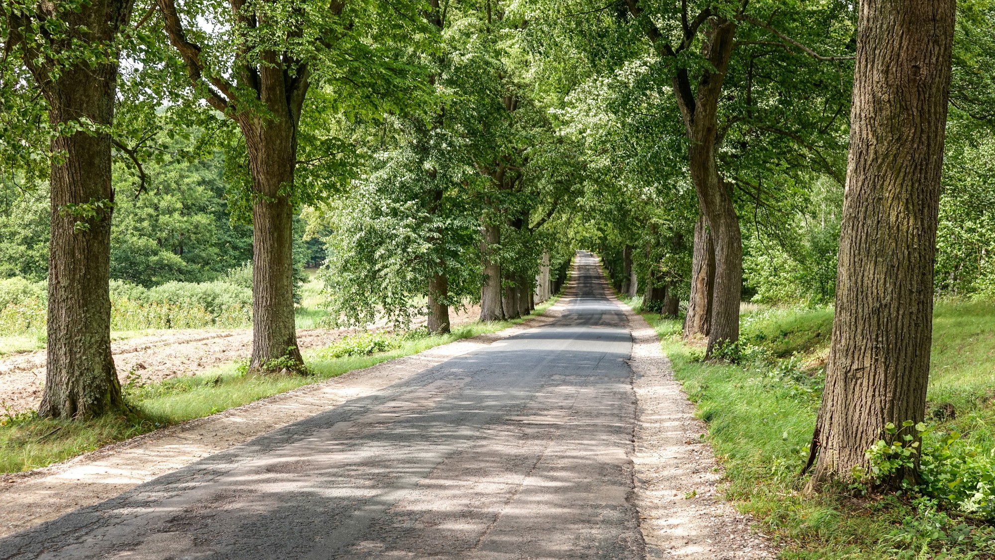 Wakacje minionych lat - zdjęcie 23