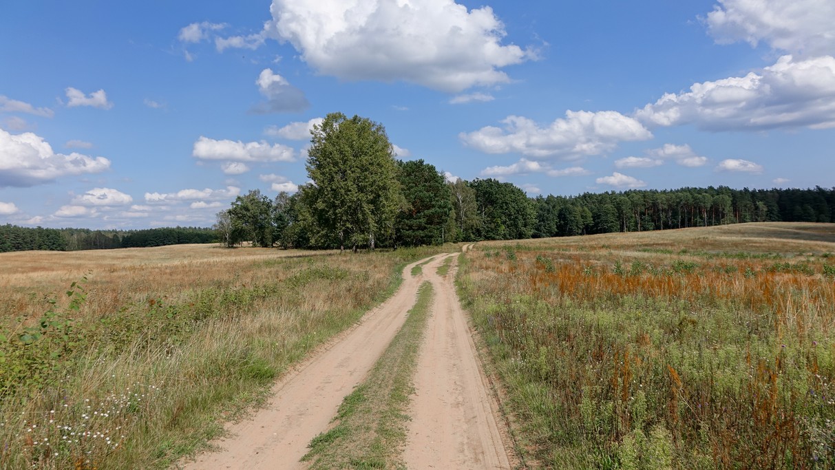 Sierpień w obiektywie - zdjęcie 7