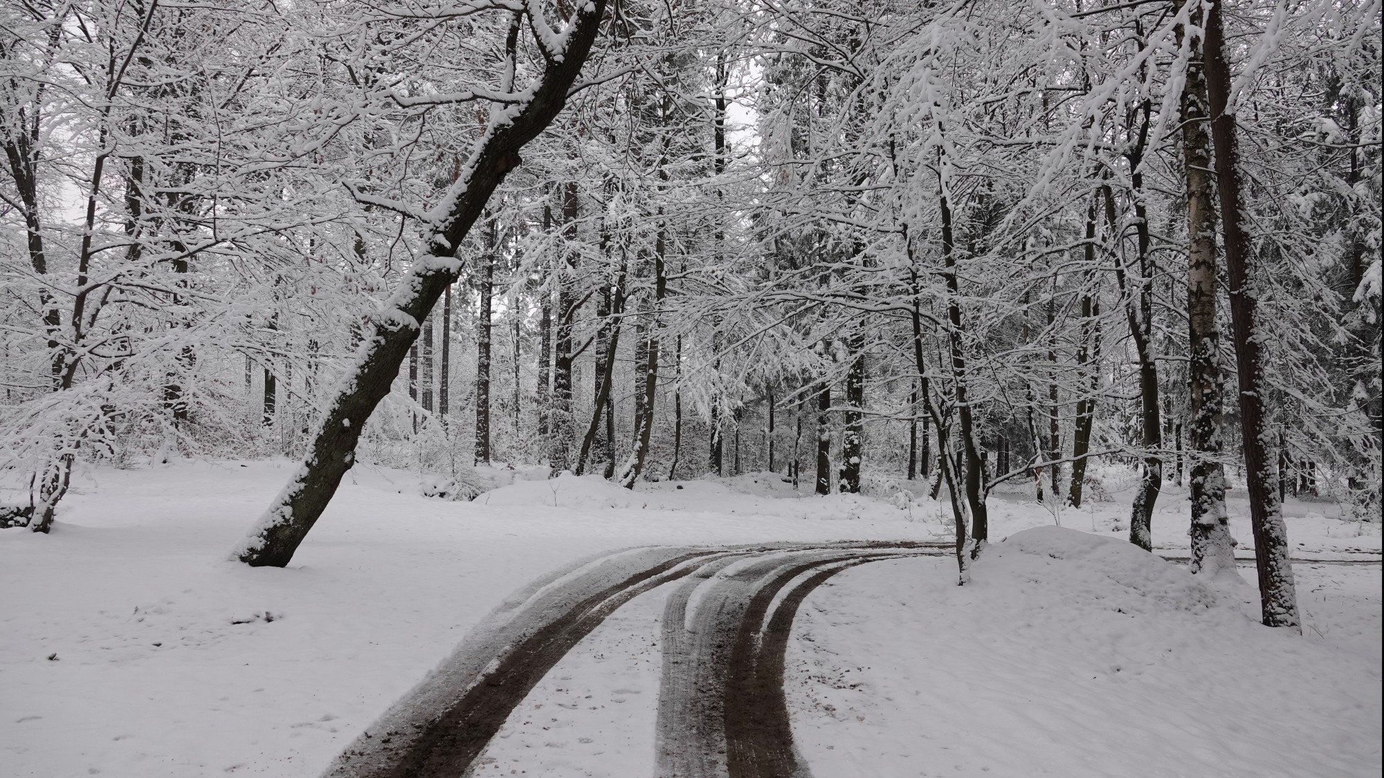 Oblicza zimy - zdjęcie 18