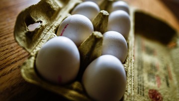 Afera ze skażonymi jajami. Holandia odrzuca oskarżenia Belgii