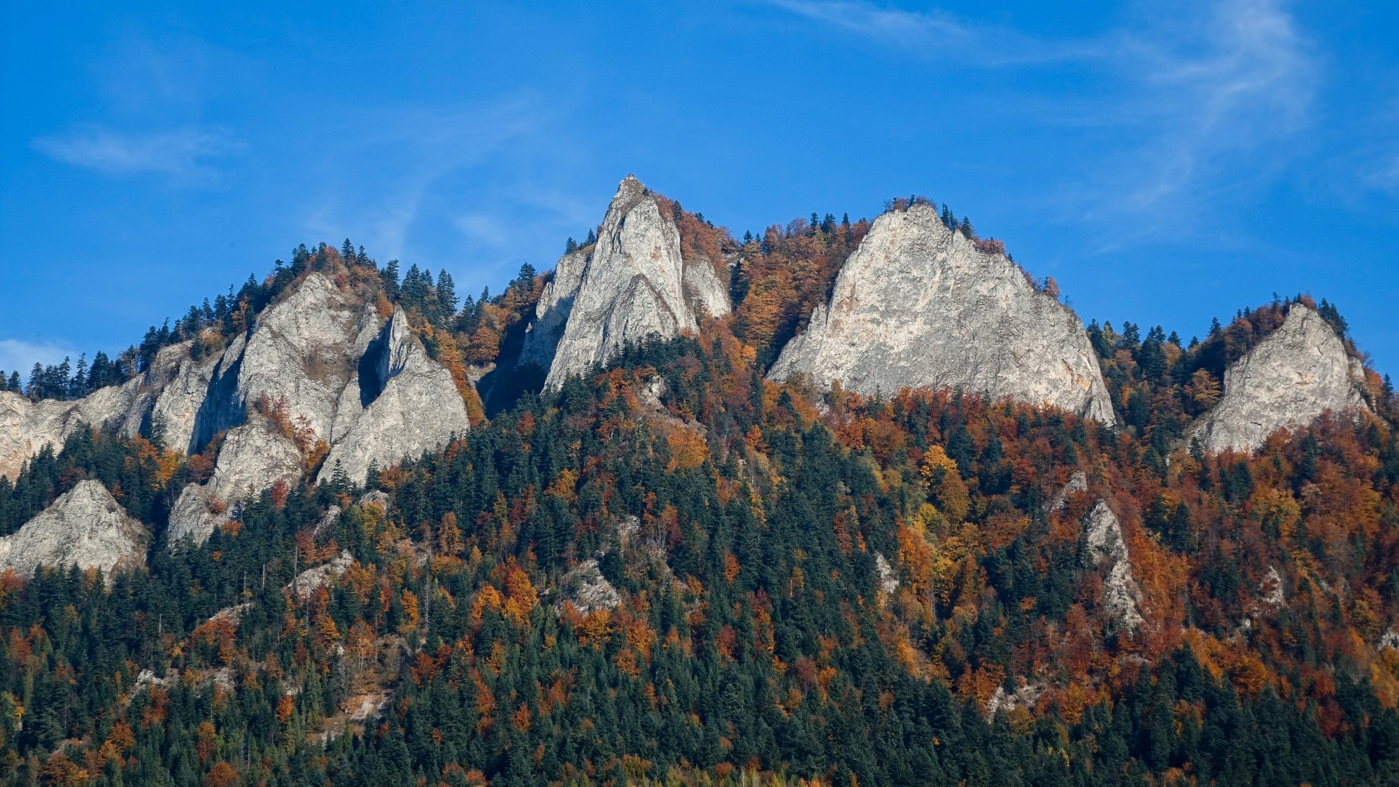 Jesień w górach, lasach i nad jeziorami - zdjęcie 19